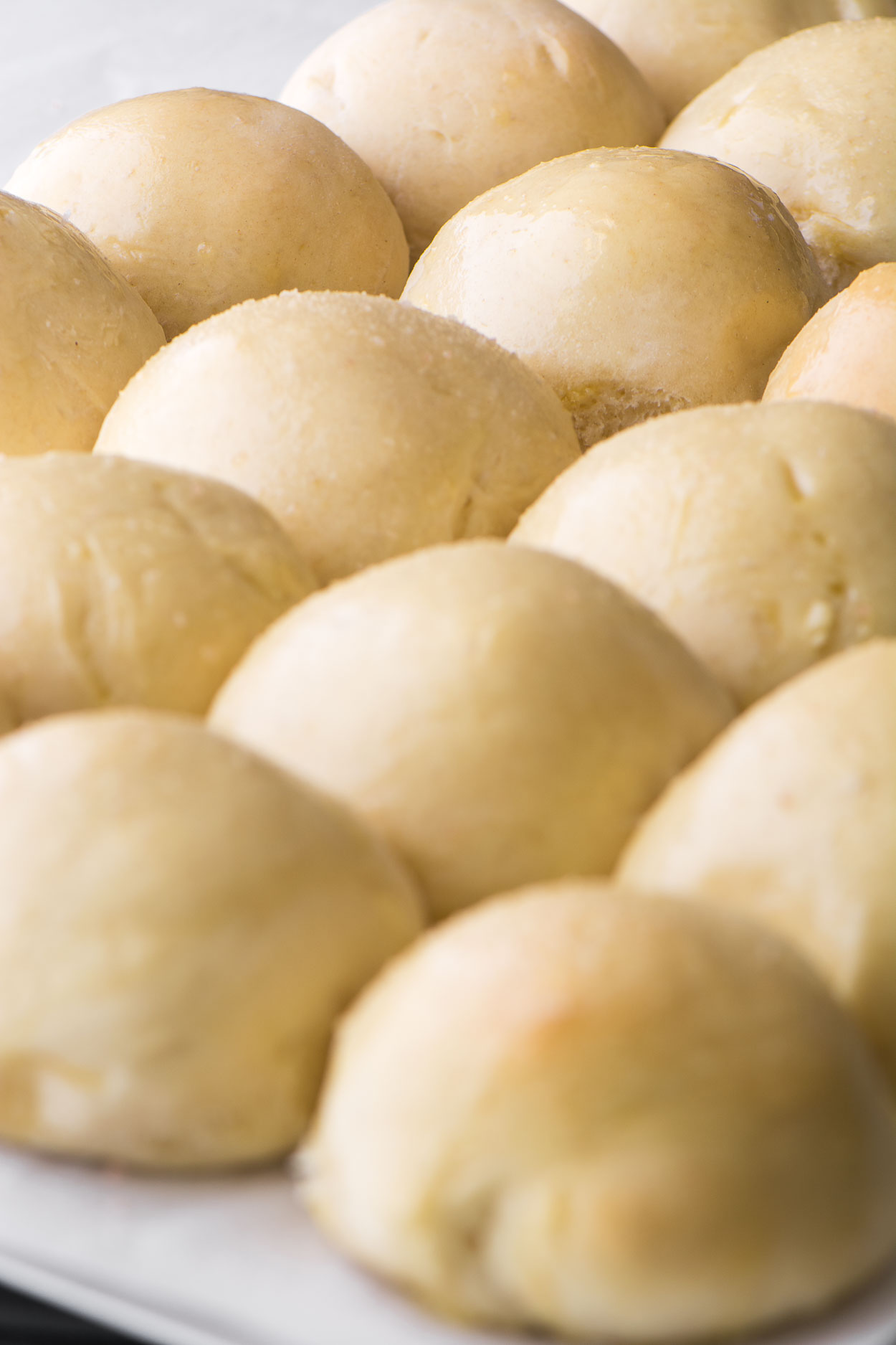 One Hour Dinner Rolls